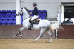 Class 8 -Senior British Novice - 90cm Ope portfolio