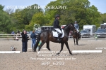 BPP_6293
