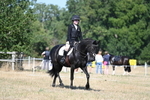 WJ7_9456