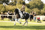 S6 - Novice & Newcomers Ridden Horse portfolio