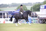 SBM_11057