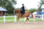 SBM_03425