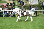 SBM_47017