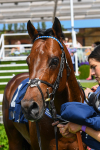 270523-Race 3-Chipstead-0489