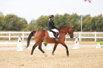 SBM_000986