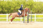 SBM_004198