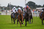 250823-Race 3-Lake Forest-0479