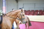 SBM_03392
