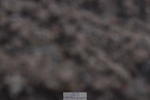 231104A-121017-00388