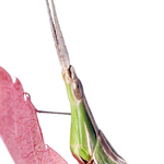 ITA_PHD_20111019-024