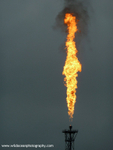 OGR004: Gas Flare