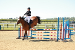 SBM_000679