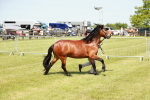 SBM_02515