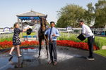 130826-Race 5-Wardlaw-8595