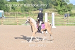 BPP_3943