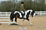 Cls 63 Part Breeds portfolio