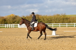 SBM_002692