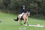 442-BICTON.INCREDIBLY.DUN-millie.jo.challinor-DR portfolio