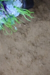 1I0A5978
