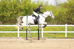 SBM_006106