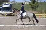 BPP_9175