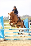 Class 10 - Senior British Discovery - 1.00m portfolio
