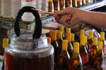 VIET_0237