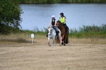 WJ6_9133