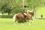 SBM_75030