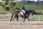 BPP_9267