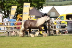 SBM_08764
