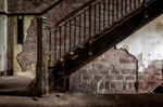 Ellis Island Immigrant Hospital | i shall emerge one day