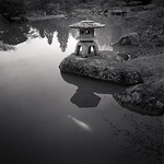 Lantern and Koi