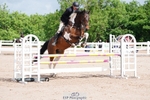 Cls 32 A&B Snr Brit Nov & 90cm Open portfolio
