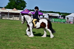 SBM_09397