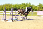 SBM_002101