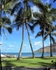 Paradise