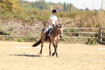 SBM_010646