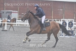 BPP_6546