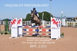 BPP_1201