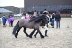 SBM_006402
