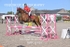 BPP_6767