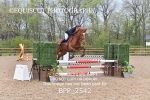 BPP_2542