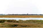 Pagham & Selsey - 05