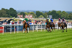 230626-Race 5-Percys Daydream-1451