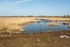 20110409-IMG_1512