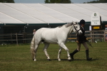 SBM_07623