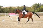 SBM_006864