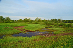Soomaa National Park, Estonia