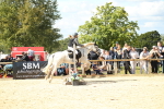 SBM_39463